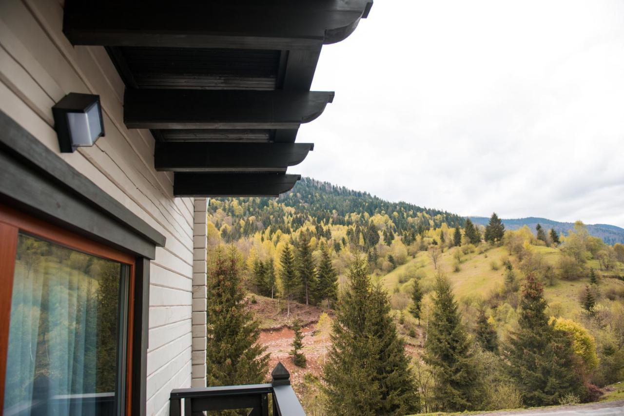 Chalet Carpat Dream Синевир Экстерьер фото