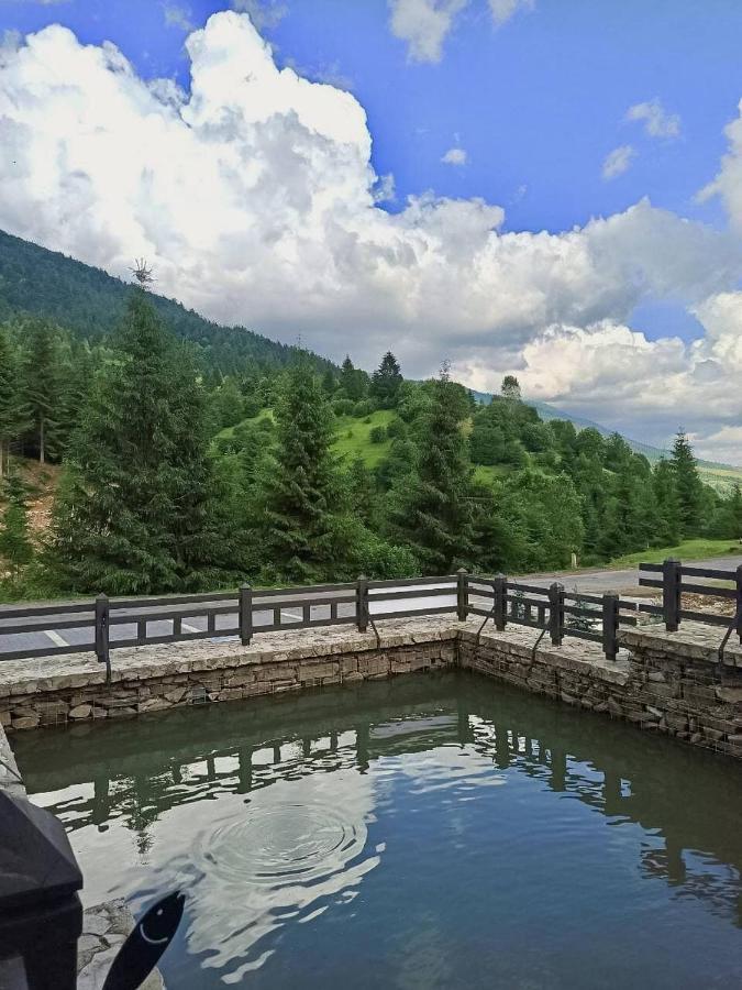 Chalet Carpat Dream Синевир Экстерьер фото