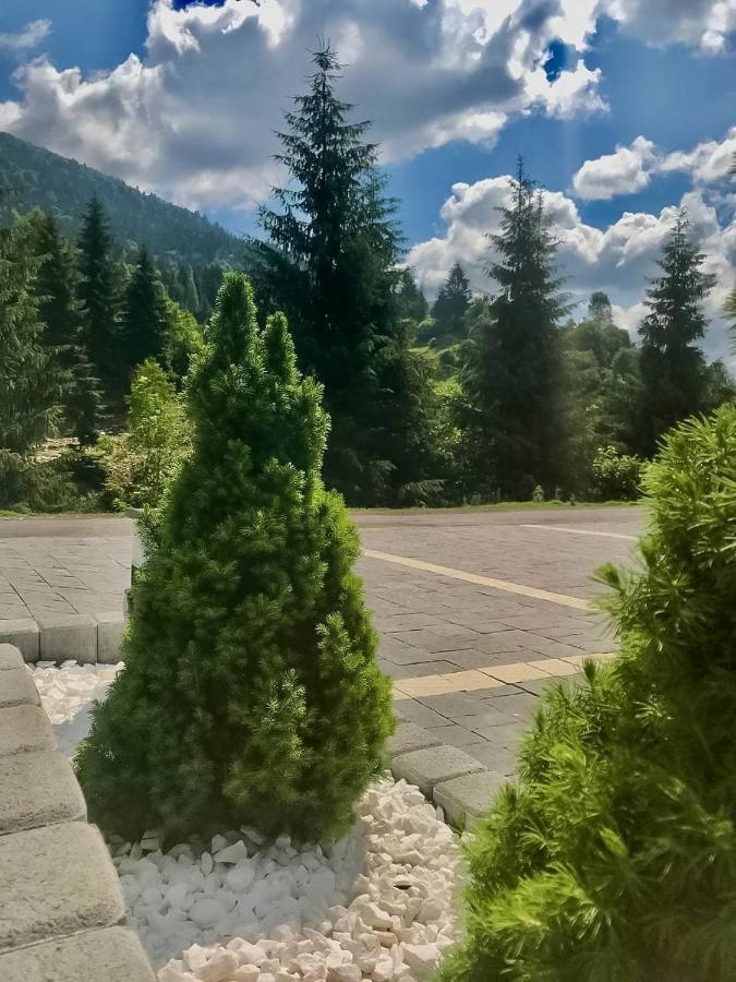 Chalet Carpat Dream Синевир Экстерьер фото
